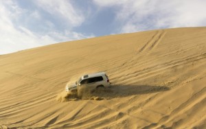 Desert Safari Tours